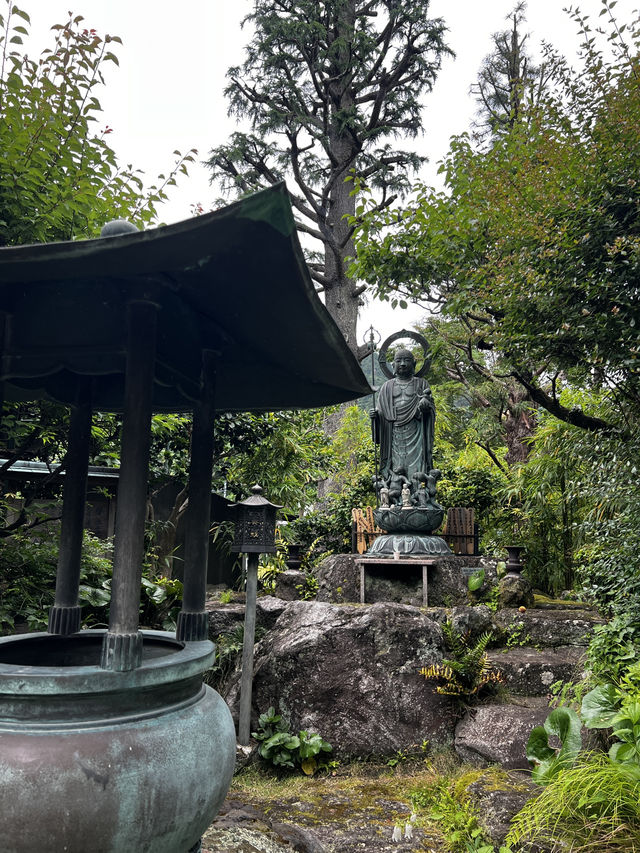 木に会いに行く旅って、ちょっと素敵だと思いませんか？🇯🇵✈️🌎 