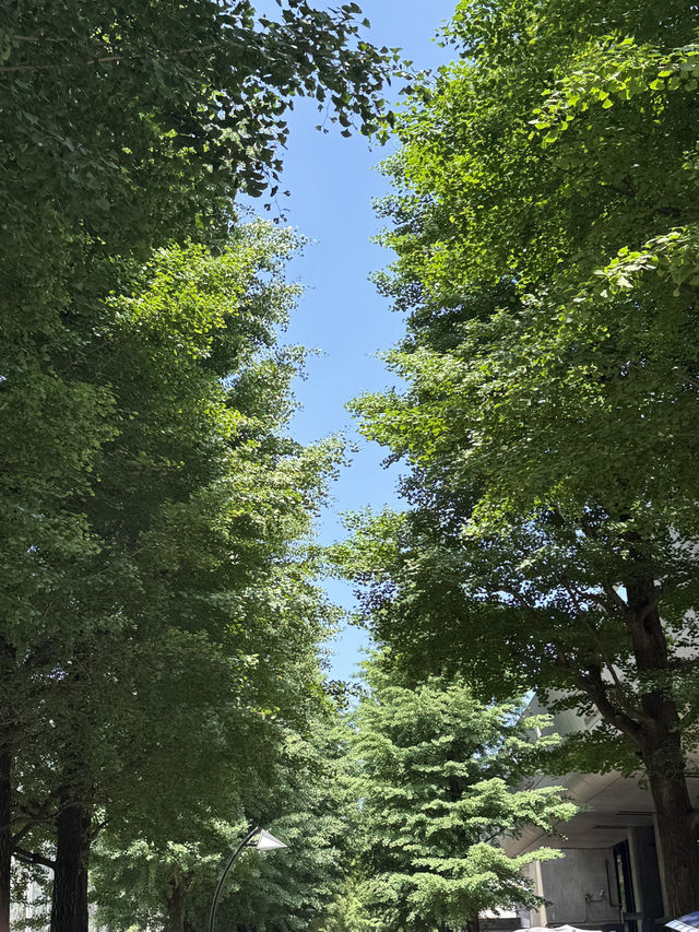 🍀푸릇푸릇 우에노 탐방기