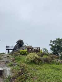 บ้านภูหมอก ยอดดอยม่อนแจ่ม
