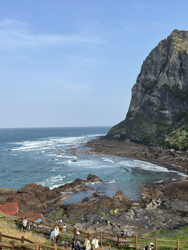 🌄 성산일출봉의 아침, 오설록의 오후