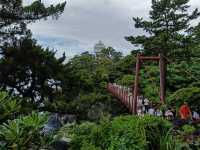 Self drive to experience Edo period traditions and sights to modern city