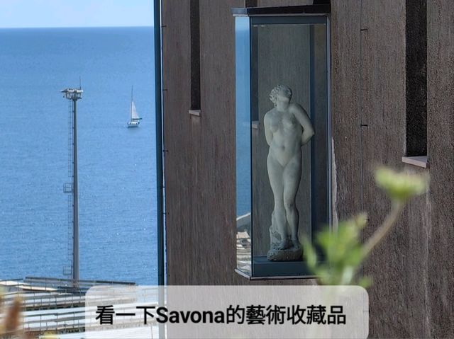 看一下Savona的藝術收藏品