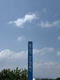 🌿 브리프 저니: 자연 속 휴식과 문화🌳