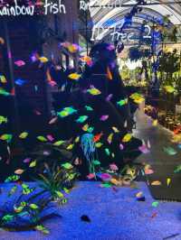 Hidden Green Corners in the City – Budget Garden Escape in Hong Kong