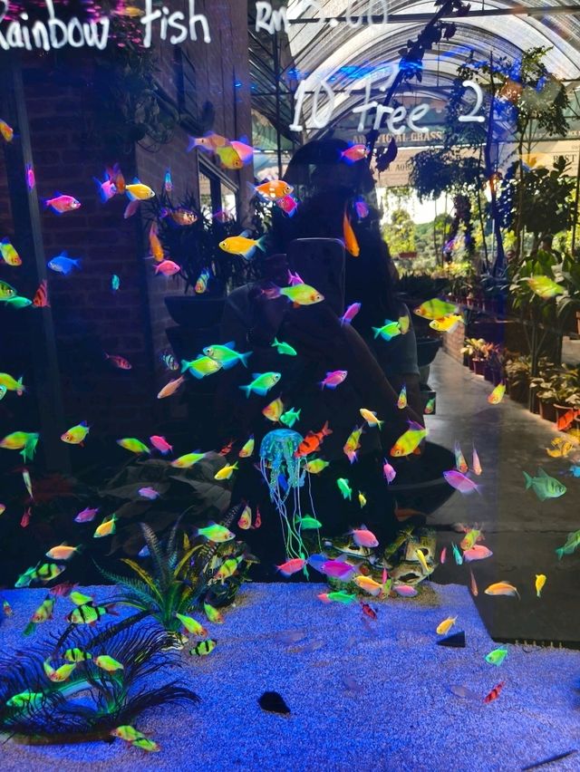 Hidden Green Corners in the City – Budget Garden Escape in Hong Kong