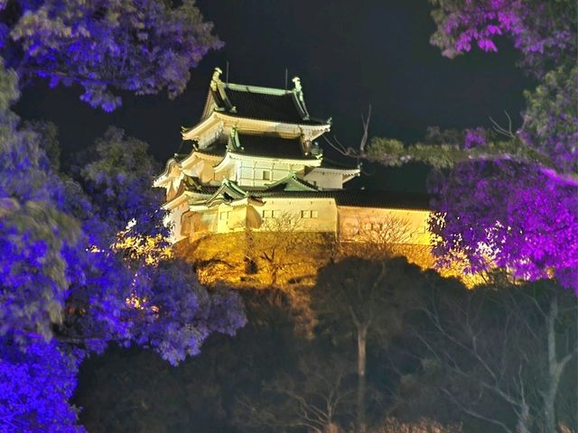 오사카와 와카야마 하루일정으로 전망과 야경까지 정복하기~!