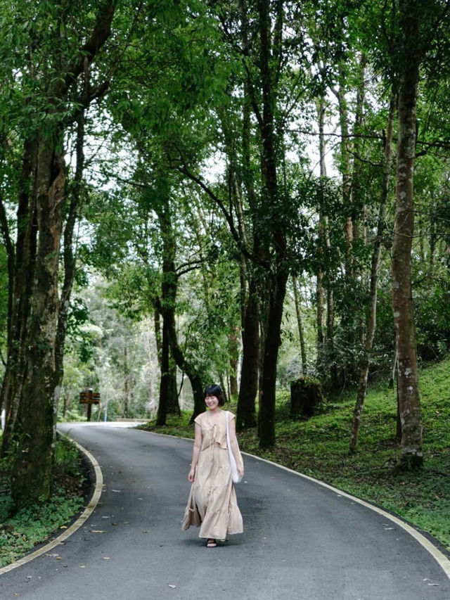 📸 แจกพิกัดมุมถ่ายรูปสวยๆ บนถนน #ดอยภูคา