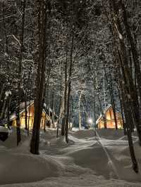 A Fairytale in the Forest: My Magical Visit to Ningle Terrace