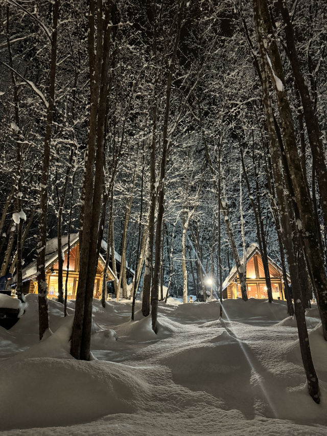 A Fairytale in the Forest: My Magical Visit to Ningle Terrace