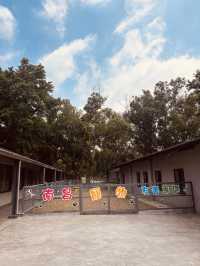 【桃園南昌森林運動公園｜小孩放電＋親子散步＋毛孩友善，一次滿足】