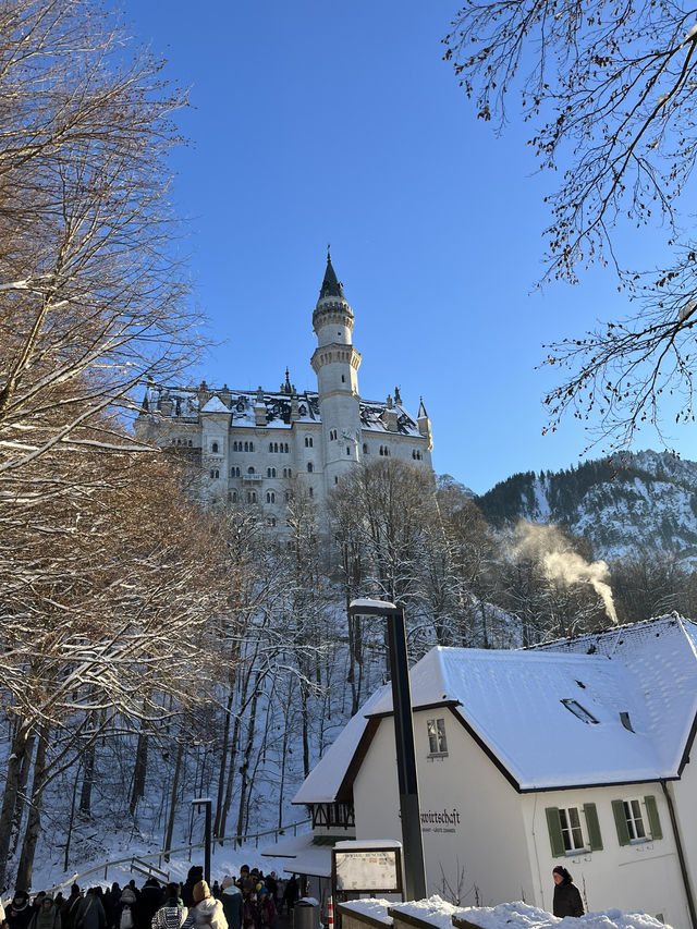 🇩🇪德國必去景點🏰 Neuschwanstein Castle新天鵝堡🦢