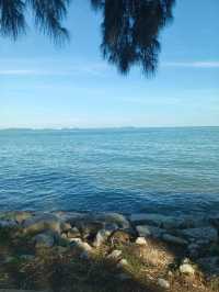 Sippin' by the Sea – My Latte Break at The Cove