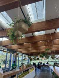 Jeju’s Innisfree Café & Green Tea Fields – A Dreamy Stop for Beauty Lovers and Nature Seekers