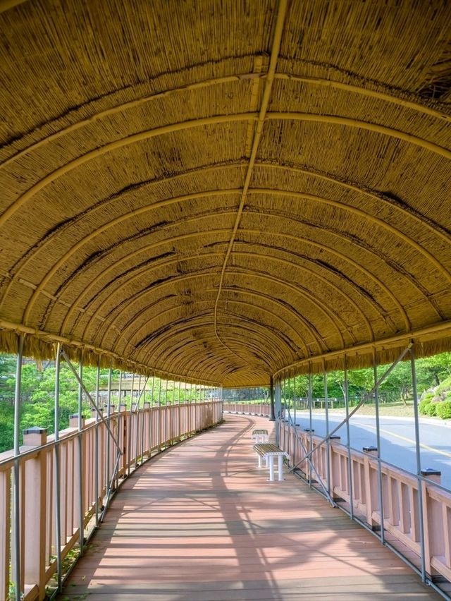 A Fun Stroll at Donguibogam Village