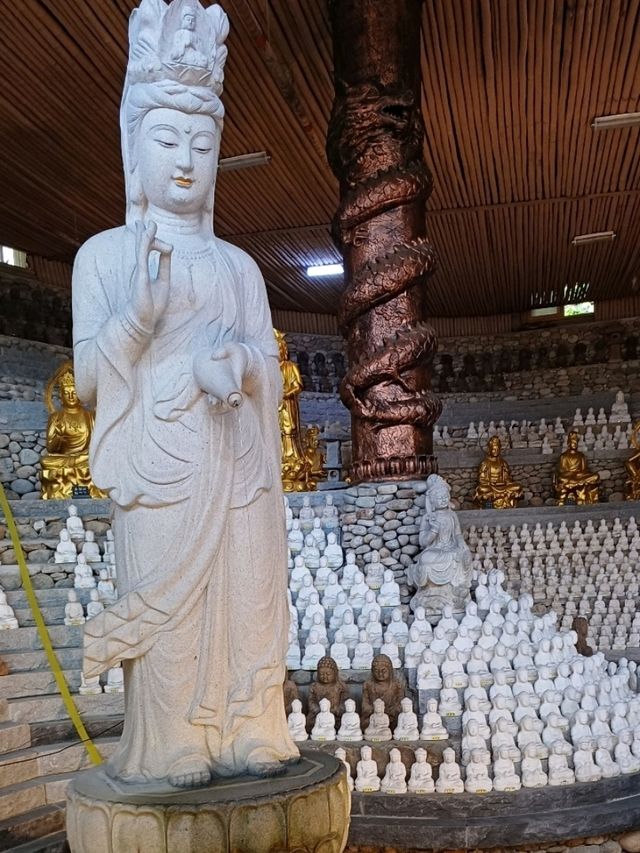 신비한 동굴 속