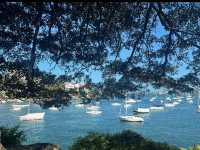 Sydney Stroll: Mosman Bay to Cremorne Point 🇦🇺🚶‍♀️
