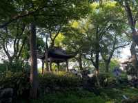 🌿 Canglang Pavilion 沧浪亭 — Suzhou’s Oldest Garden with Timeless Serenity 