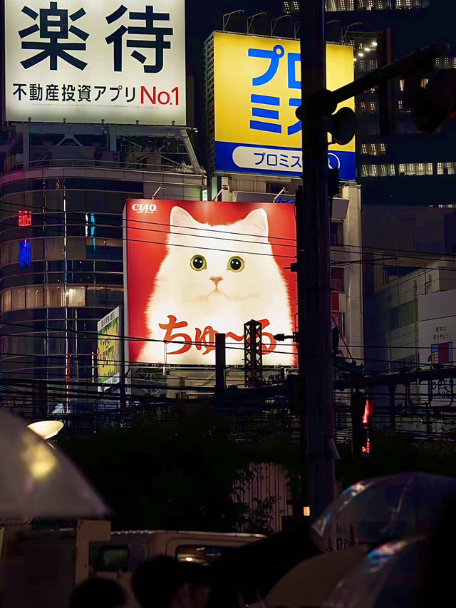 โอซาก้า🇯🇵