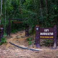 ท่องเที่ยว "ตามรอยพญานาคน้ำเค็ม" จ.กระบี่
