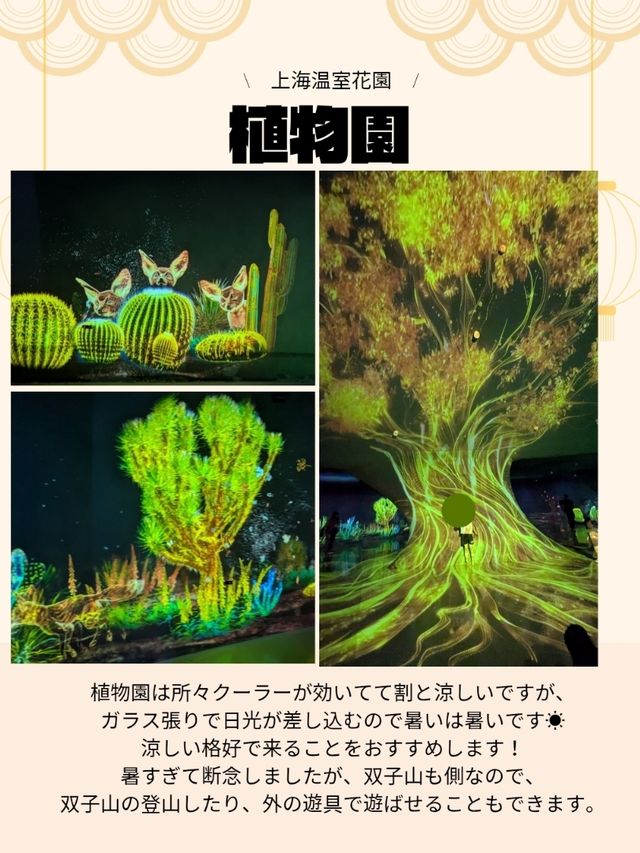 🇨🇳アジア最大級の植物園へ