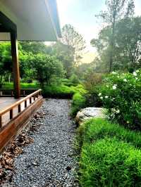 The Zen experience at the Teahouse, Japanese Gardens