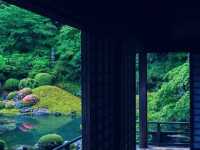 京都🇯🇵青蓮院