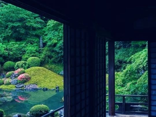 京都🇯🇵青蓮院