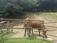 魅力たくさん！ 初夏の館山