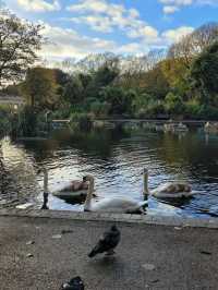 Queen's Park