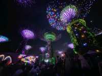 Garden by the Bay Lightshow 