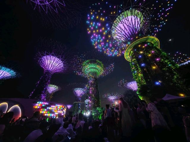 Garden by the Bay Lightshow 
