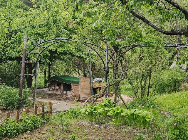 We went to this pension at Inje for a retreat