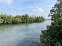 🌿 Morning Escape to Nature at Sungei Buloh Wetland Reserve 🐊🦅🌞