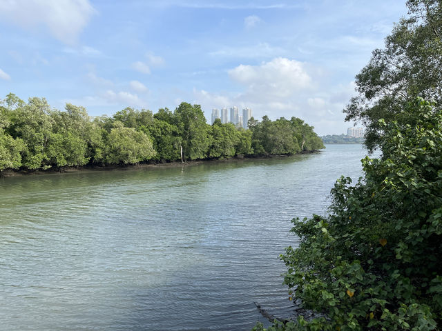 🌿 Morning Escape to Nature at Sungei Buloh Wetland Reserve 🐊🦅🌞