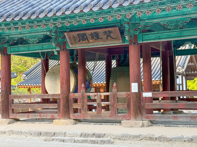 부안 당일치기 여행지로 딱인 내소사 🌳