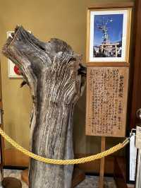 「神様って、本当にいるのかも…」そんな感覚に包まれる場所が、長野にはあります。