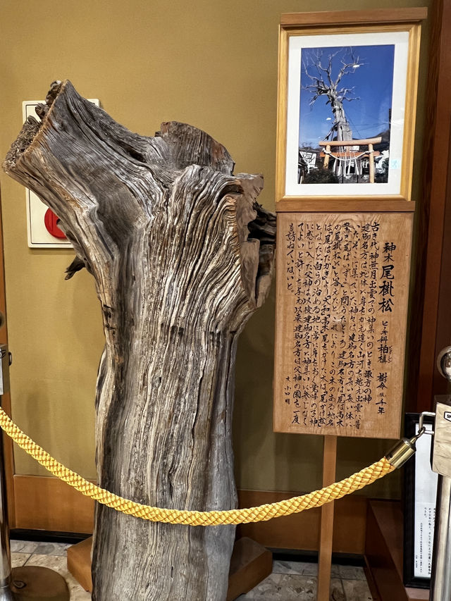 「神様って、本当にいるのかも…」そんな感覚に包まれる場所が、長野にはあります。