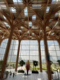 Why Geneo Might Be the Most Beautiful Mall in the West