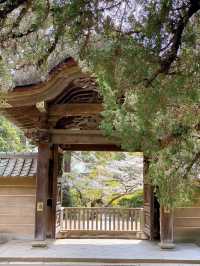 ～貞昌寺～時光靜好～