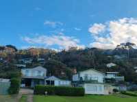 阿波罗湾到坎伯兰河（ Apollo Bay→ Cumberland River）—大洋路的隐秘海岸线