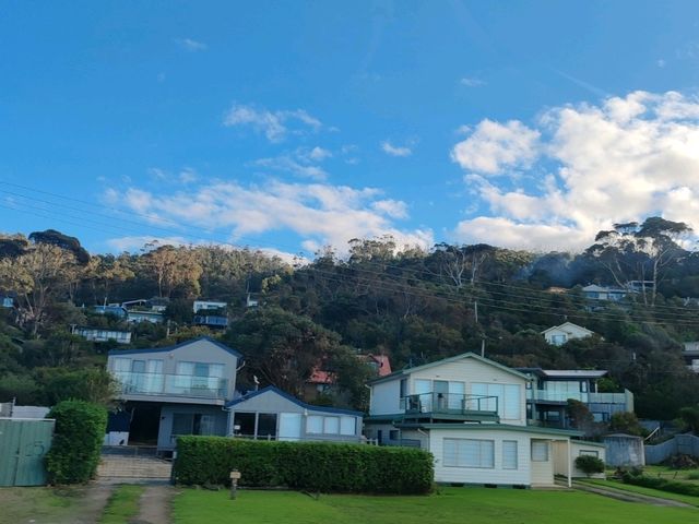 阿波罗湾到坎伯兰河（ Apollo Bay→ Cumberland River）—大洋路的隐秘海岸线