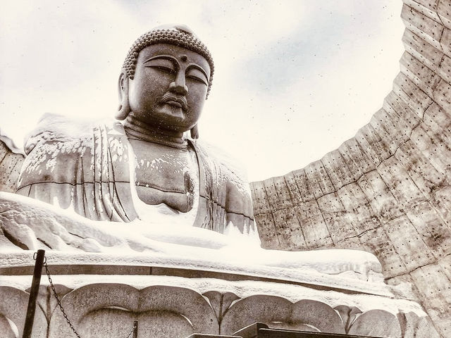 Silent Giants & Snow Spirits: A Solo Journey to Sapporo’s Hill of the Buddha