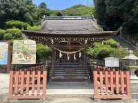 日本關西自駕遊 | 滋賀縣 | 白鬚神社