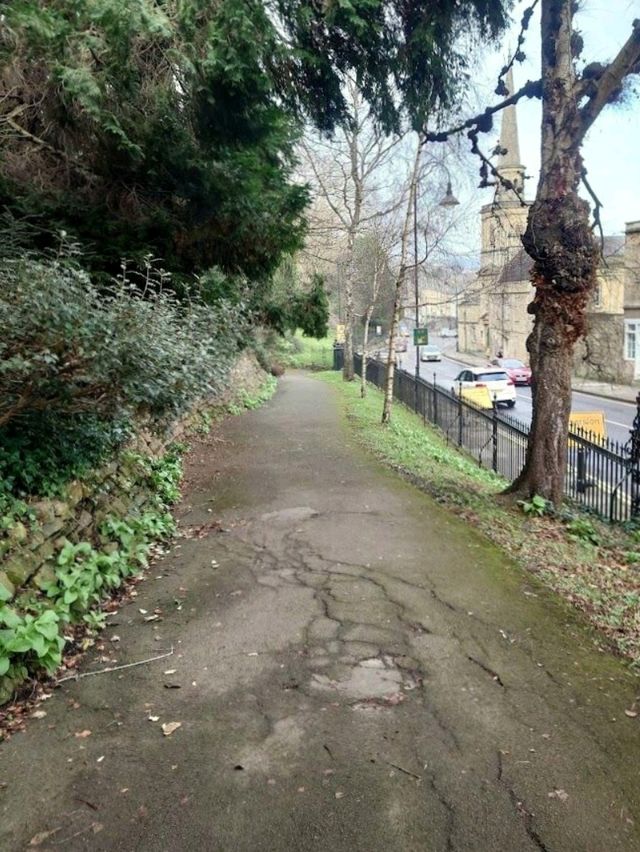 Hedgemead Park