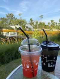คาเฟ่สวนดอกไม้ 🌸