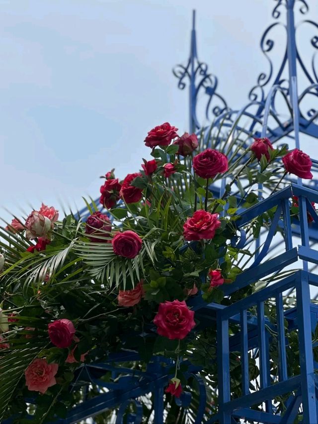 Boramae Park, Seoul – A Peaceful Urban Green Space