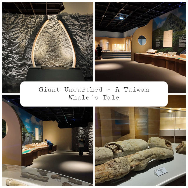 นิทรรศการ Giant Unearthed - A Taiwan Whale’s Tale