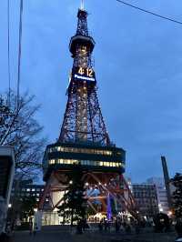 🌳 Serenity at the Heart of Sapporo – Odori Park