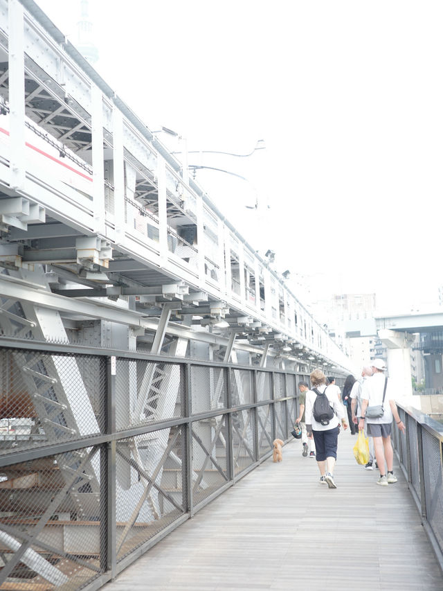 【東京 隅田川】隅田川を渡れるすみだリバーウォーク