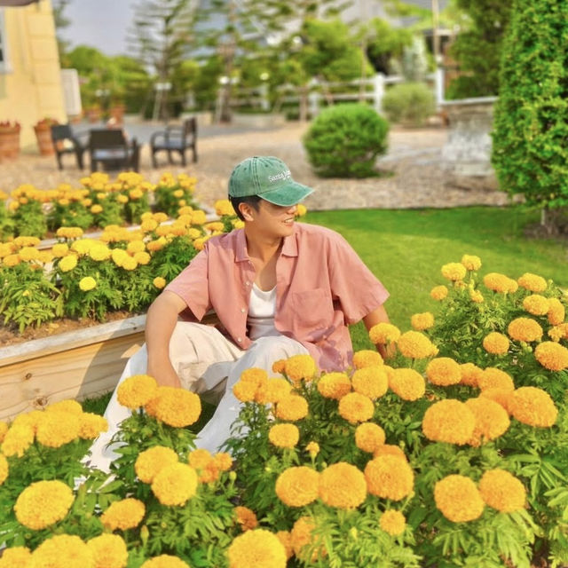คาเฟ่เบเกอรี่สุดน่ารัก ฟีลต่างประเทศ ที่อุดรธานี 🍰